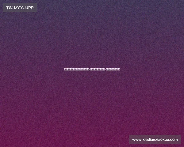 迈阿密热火队的崛起与挑战：从大卫-韦德时代到新星扎伊尔-威廉姆斯的崭新篇章