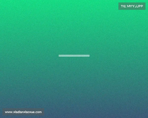 德甲中卫位置的战术作用与发展趋势分析及未来潜力展望